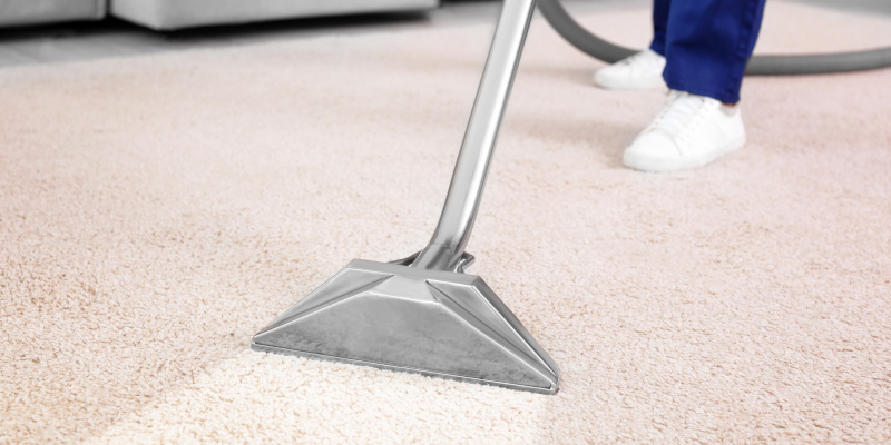 Rug Cleaning in Charleston, Illinois