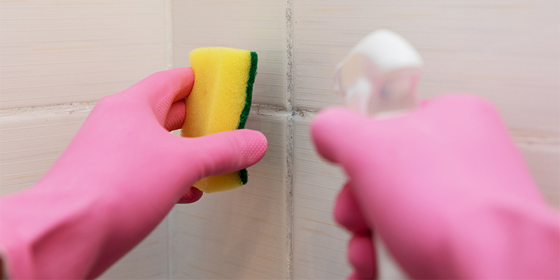 Grout Cleaning in Charleston, Illinois